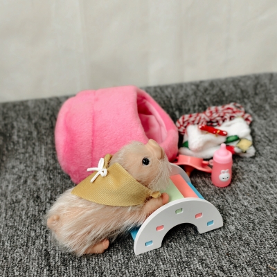 Силиконовая свинка реборн Plushie с расширенной комплектацией-9