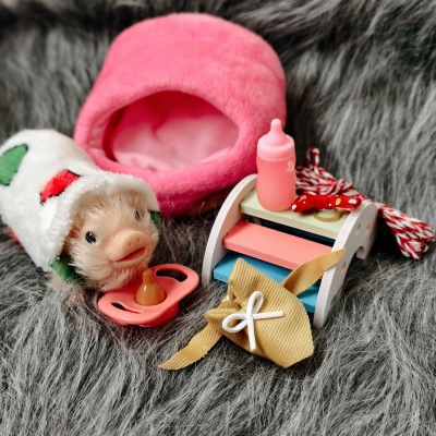 Силиконовая свинка реборн Plushie с расширенной комплектацией-1