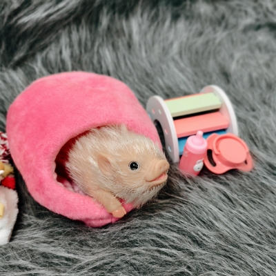 Силиконовая свинка реборн Plushie с расширенной комплектацией-2