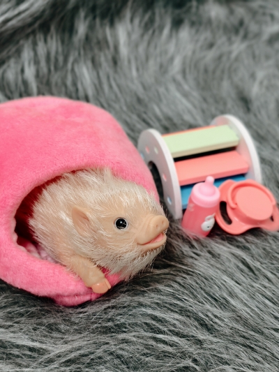 Силиконовая свинка реборн Plushie с расширенной комплектацией-11