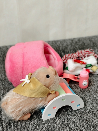 Силиконовая свинка реборн Plushie с расширенной комплектацией-8