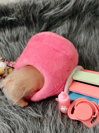 Силиконовая свинка реборн Plushie с расширенной комплектацией-7