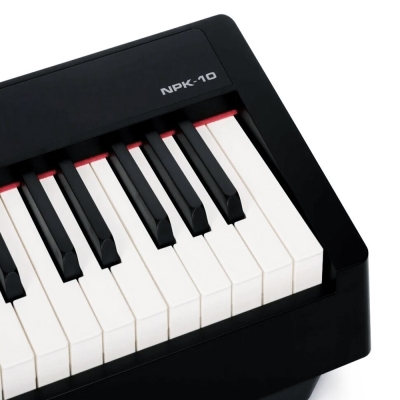 Цифровое пианино Nux Cherub NPK-10-BK-1
