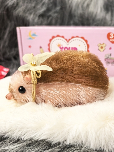 Силиконовый ежик реборн Tiggy с аксессуарами-6