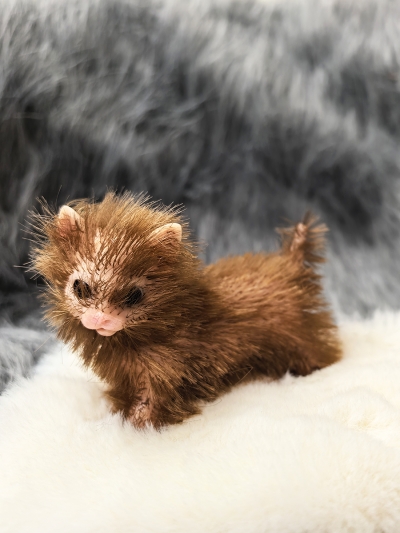 Силиконовый котенок реборн Kitty с аксессуарами-3