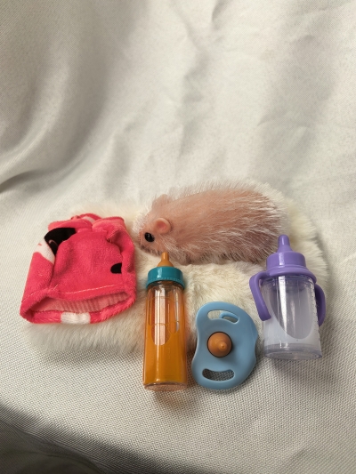 Силиконовый хомяк реборн Hammy с аксессуарами-5