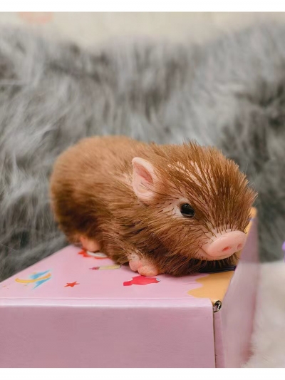 Силиконовый поросенок реборн Brownie с аксессуарами-1