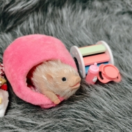 Силиконовая свинка реборн Plushie с расширенной комплектацией