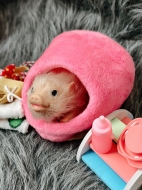 Силиконовая свинка реборн Plushie с расширенной комплектацией