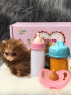 Силиконовый котенок реборн Kitty с аксессуарами