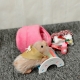 Силиконовая свинка реборн Plushie с расширенной комплектацией