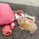 Силиконовая свинка реборн Plushie с расширенной комплектацией